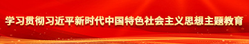 美女操逼999学习贯彻习近平新时代中国特色社会主义思想主题教育