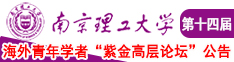 嗯啊骚逼干死你视频南京理工大学第十四届海外青年学者紫金论坛诚邀海内外英才！